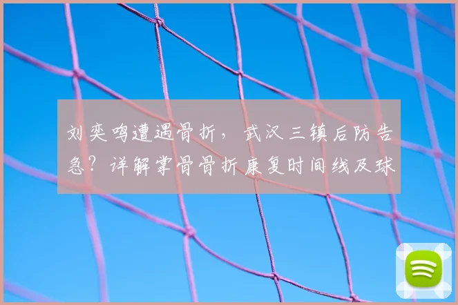 刘奕鸣遭遇骨折,武汉三镇后防告急?详解掌骨骨折康复时间线及球队影响